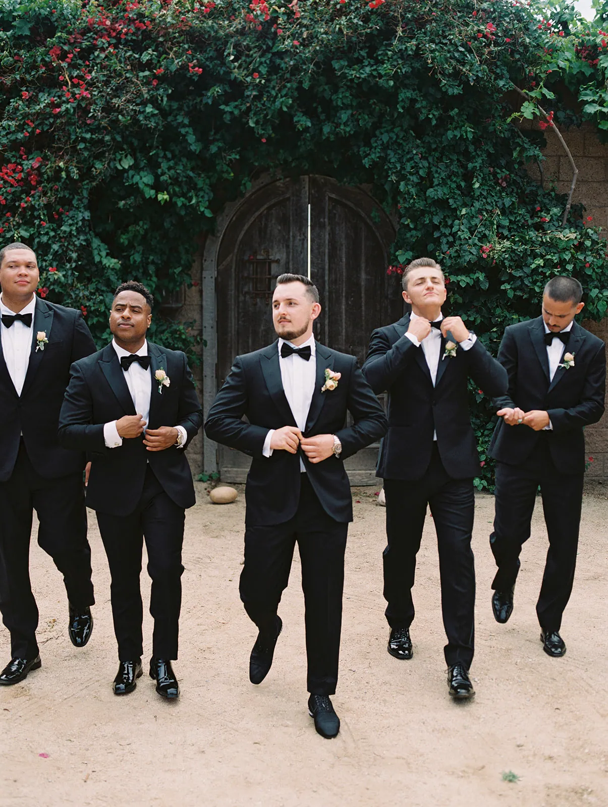 Deidran & Adam — Catalina View Gardens