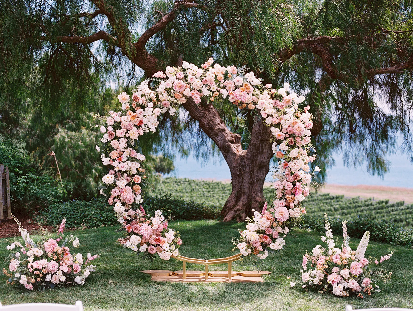 Deidran & Adam — Catalina View Gardens